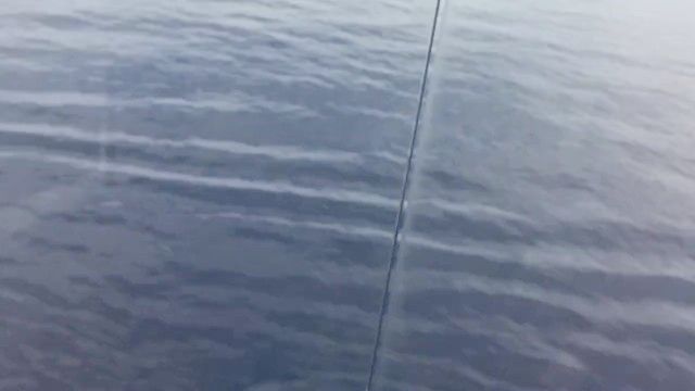 Spouse Pissing On Me On Our Cruise Balcony