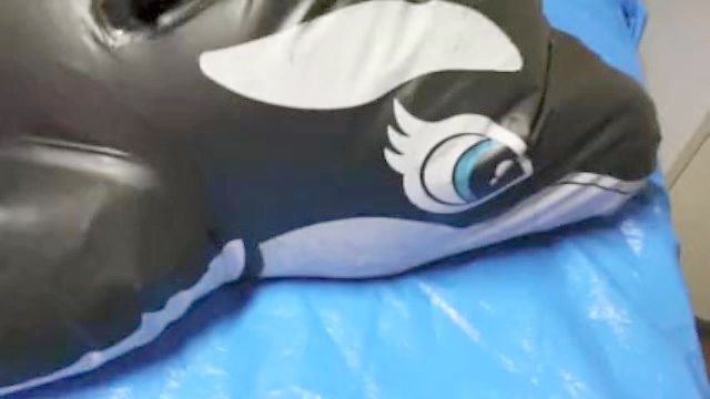 Cocoasoft Japanese Domination Have Coition Breathplay Kigurumi Domination Have Coition Wsm_inflatable_orca